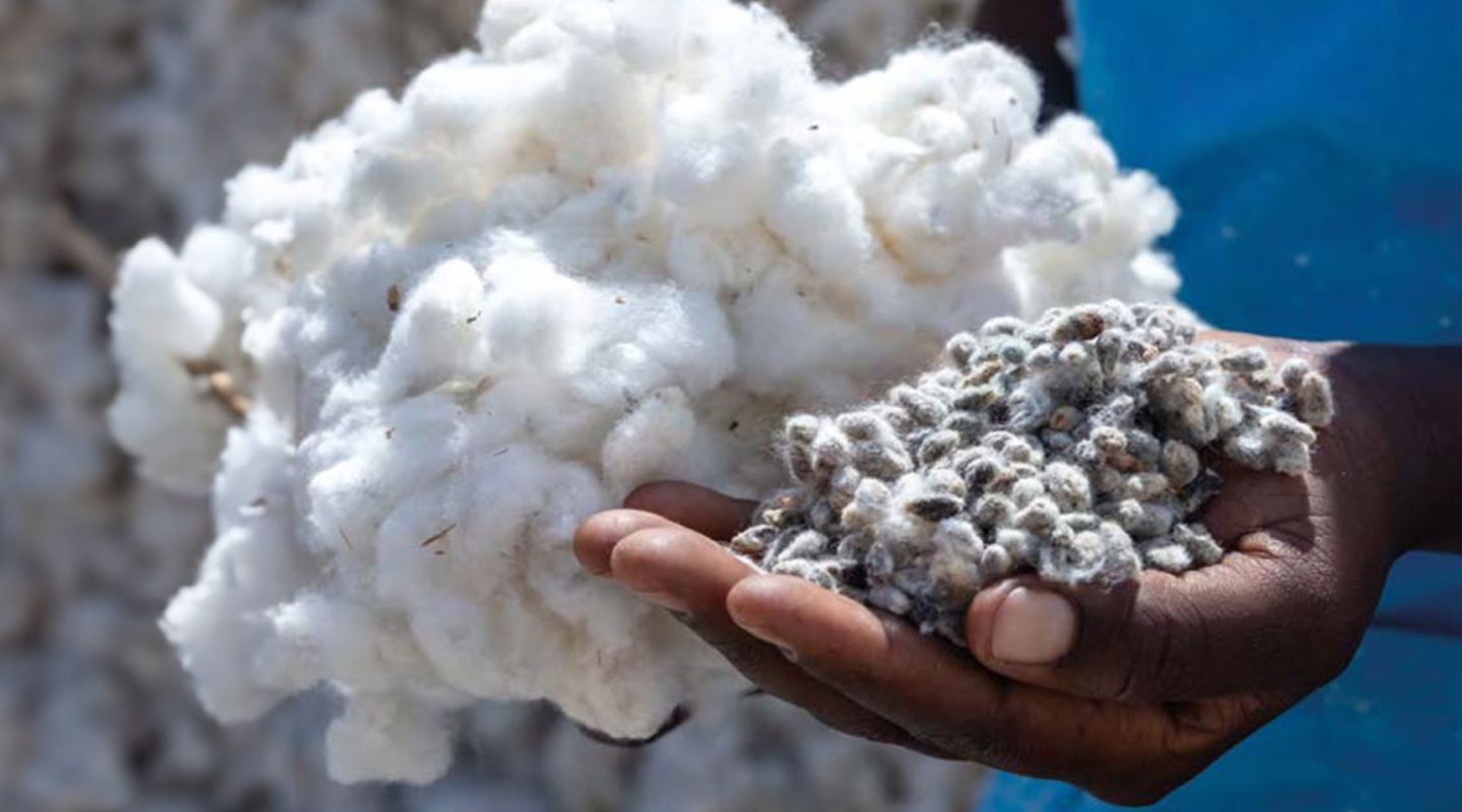 sustainability-materials-positive